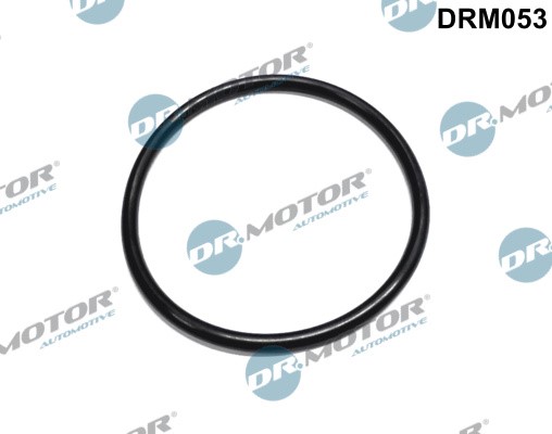 Packning, bränslefilter Dr.motor automotive DRM053 Dr.Motor Automotive Packning, bränslefilter Dr.motor automotive DRM053 Dr.Motor Automotive