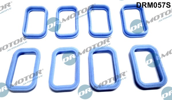 Packningssats, insug, grenrör Dr.Motor Automotive