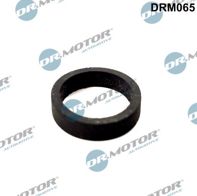 Packning, vevhusventilation Dr.Motor Automotive