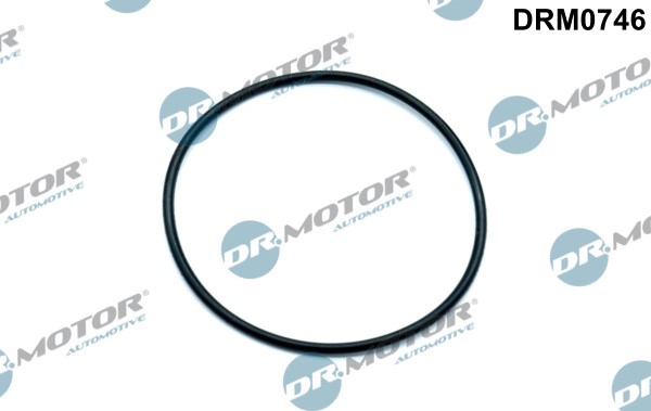 Packning, vakuumpump Dr.Motor Automotive