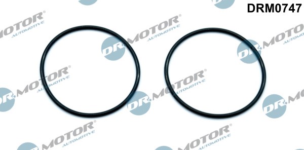Packning, vakuumpump Dr.motor automotive DRM0747 Dr.Motor Automotive Packning, vakuumpump Dr.motor automotive DRM0747 Dr.Motor Automotive