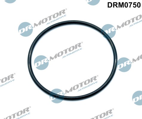 Packning, insugsgrenrör Dr.motor automotive DRM0750 Dr.Motor Automotive