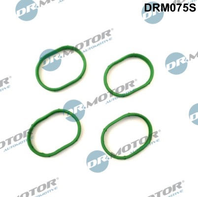 Packningssats, insug, grenrör Dr.motor automotive DRM075S Dr.Motor Automotive