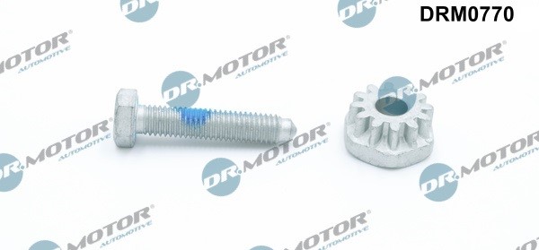 Spännskruv, generatorhållare Dr.Motor Automotive