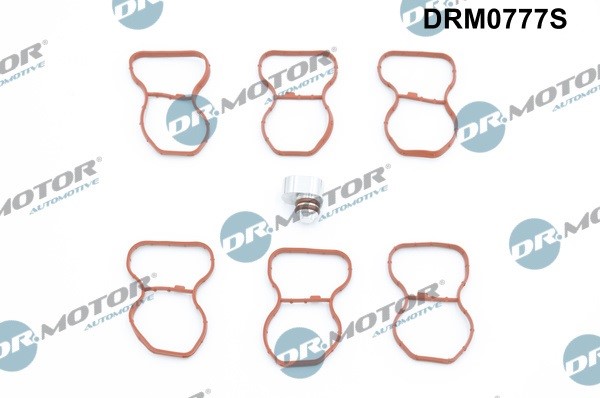 Packningssats, insug, grenrör Dr.Motor Automotive