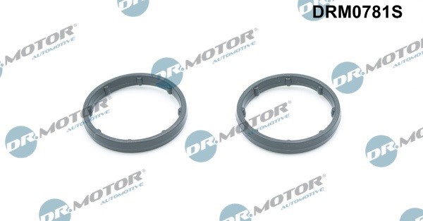Packning, oljekylare Dr.Motor Automotive