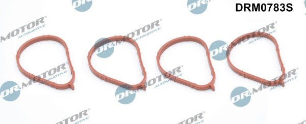 Packningssats, insug, grenrör Dr.Motor Automotive