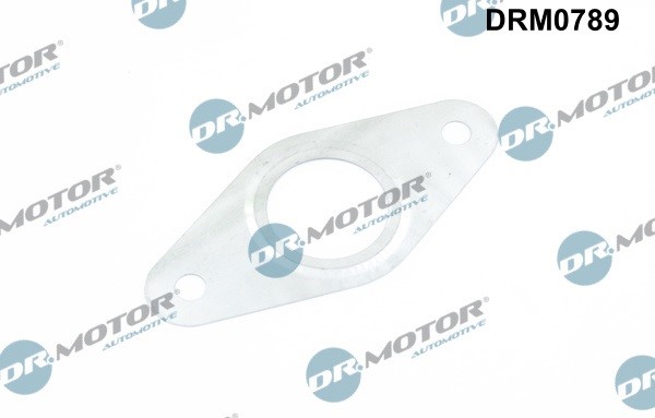 Packningssats, EGR-system Dr.motor automotive DRM0789 Dr.Motor Automotive