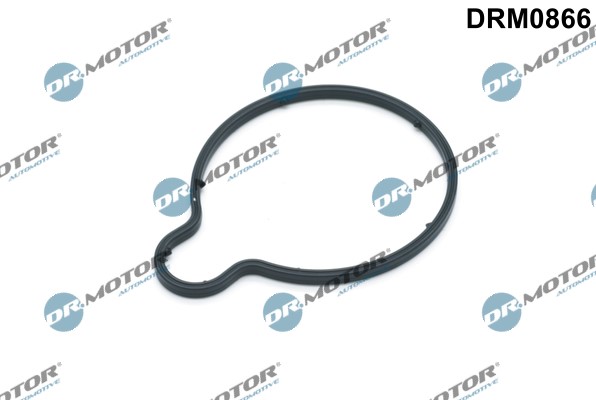 Packning, vakuumpump Dr.Motor Automotive Packning, vakuumpump Dr.Motor Automotive