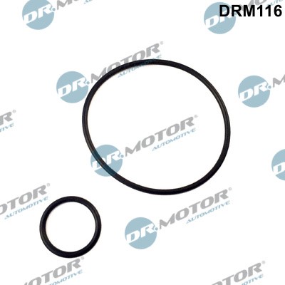 Packningssats, insug, grenrör Dr.motor automotive DRM116 Dr.Motor Automotive