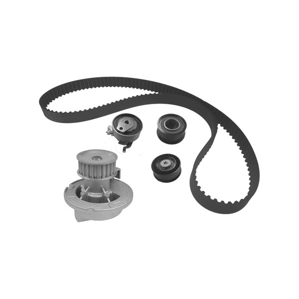 Kamremskit med vattenpump Dolz KD075 DOLZ