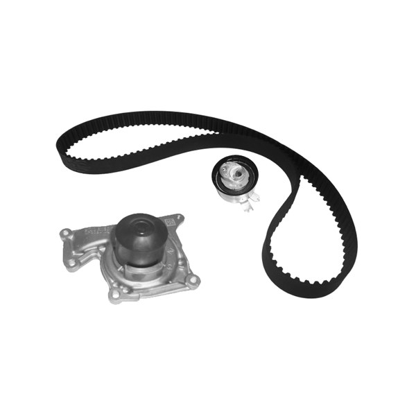 Kamremskit med vattenpump Dolz KD113 DOLZ Kamremskit med vattenpump Dolz KD113 DOLZ