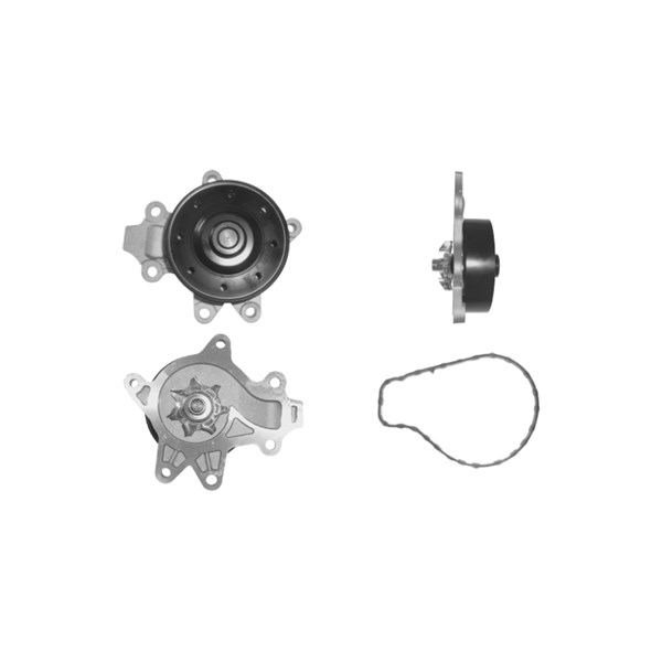 Vattenpump Dolz T271 DOLZ