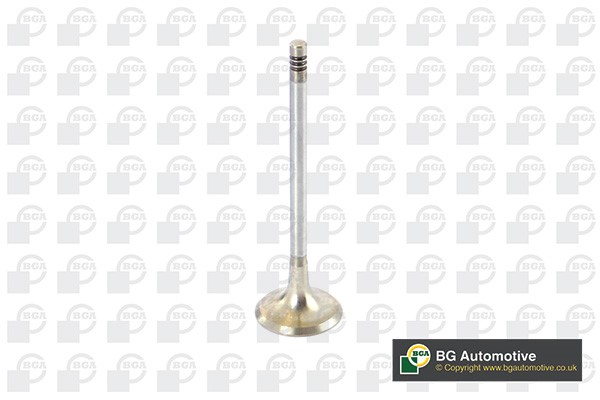 Avgasventil Bga V090100 BGA Avgasventil Bga V090100 BGA