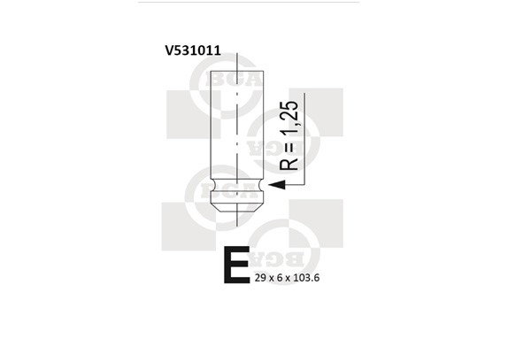 Avgasventil Bga V531011 BGA