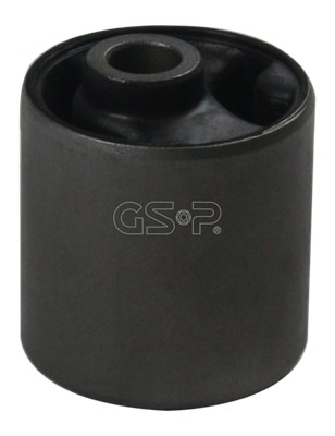 Fäste, differential, Bak Gsp 516367 GSP