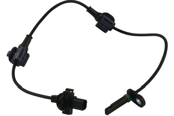 ABS-givare, Sensor, hjulvarvtal, Bakaxel vänster Kavo parts BAS-2 KAVO PARTS