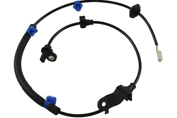 ABS-givare, Sensor, hjulvarvtal, Bakaxel höger Kavo parts BAS-209 KAVO PARTS