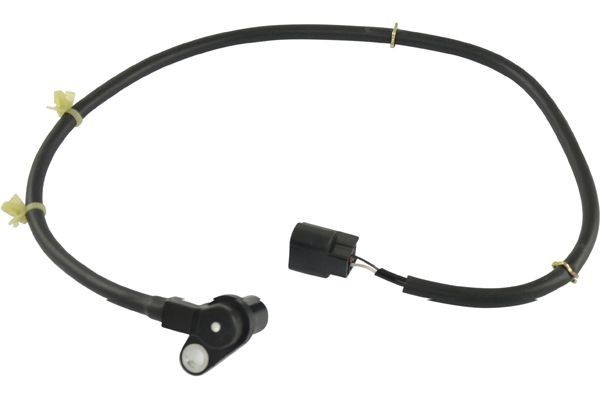 ABS-givare, Sensor, hjulvarvtal, Bakaxel höger Kavo parts BAS-554 KAVO PARTS