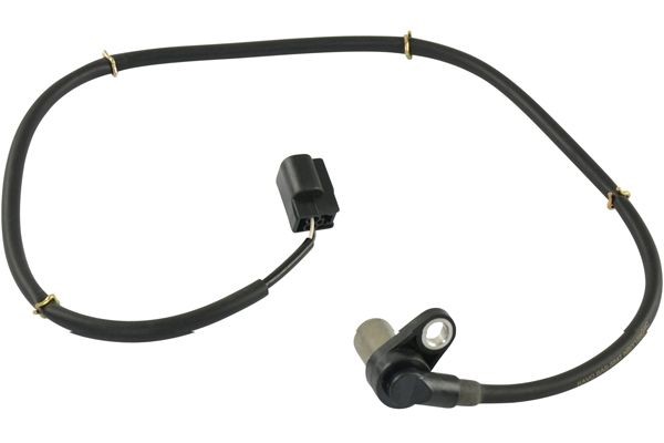 ABS-givare, Sensor, hjulvarvtal, framaxel höger Kavo parts BAS-55 KAVO PARTS