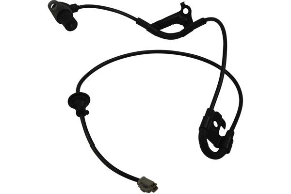 ABS-givare, Sensor, hjulvarvtal, Bakaxel höger Kavo parts BAS-902 KAVO PARTS