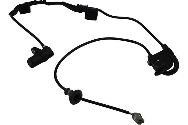 ABS-givare, Sensor, hjulvarvtal, Bakaxel vänster Kavo parts BAS-9 KAVO PARTS