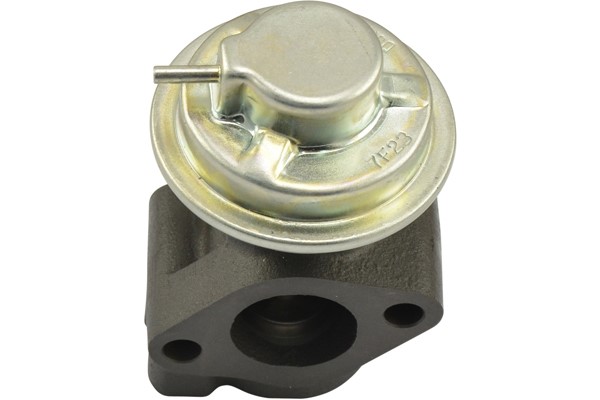 Egr-ventil Kavo parts EEG-3011 KAVO PARTS