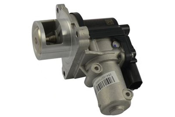 Egr-ventil Kavo parts EEG-3021 KAVO PARTS