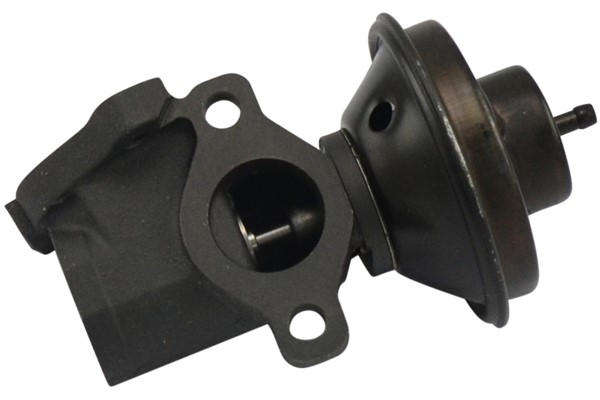 Egr-ventil Kavo parts EEG-7503 KAVO PARTS