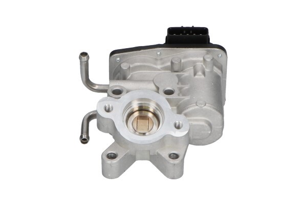 Egr-ventil Kavo parts EEG-8003 KAVO PARTS