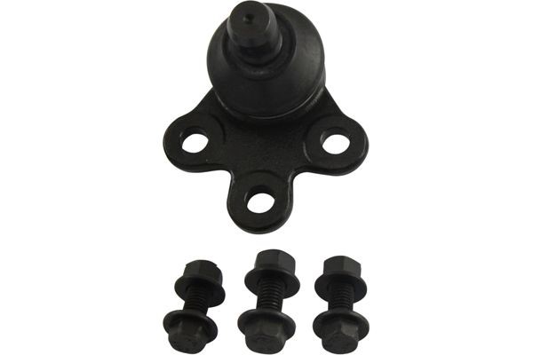 Kulled / Spindelled, Framaxel, Ytter, Fram, höger eller vänster,  KAVO PARTS