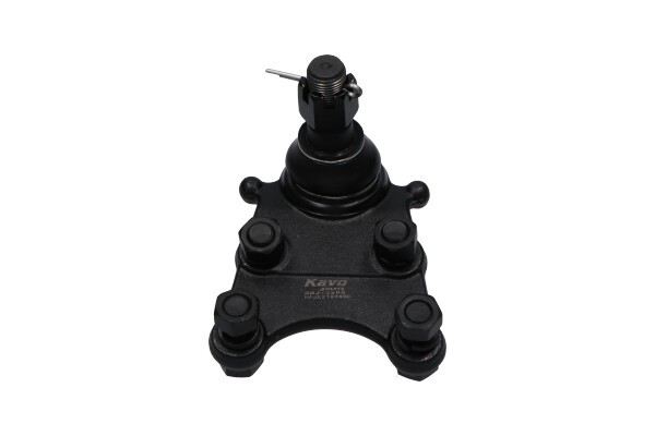 Kulled / Spindelled, Fram, höger eller vänster, Nedre Kavo parts  KAVO PARTS