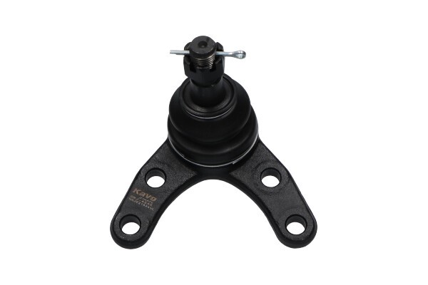 Kulled / Spindelled, Framaxel, Ytter, Fram, höger eller vänster,  KAVO PARTS