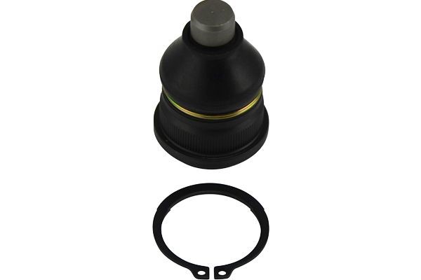 Kulled / Spindelled, Fram, höger eller vänster, Nedre Kavo parts  KAVO PARTS