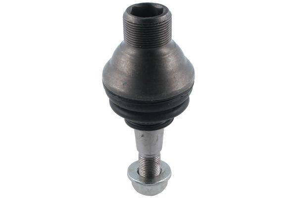Kulled / Spindelled, Framaxel, Tvåsidig, Nedre Kulled / Spindelled, Framaxel, Tvåsidig, Nedre
