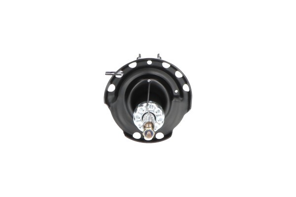 Stötdämpare Gastryck, framaxel höger Kavo parts SSA-10359 KAVO PARTS Stötdämpare Gastryck, framaxel höger Kavo parts SSA-10359 KAVO PARTS