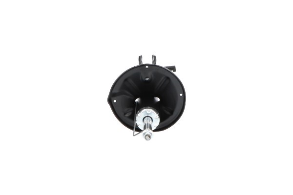 Stötdämpare Gastryck, Bakaxel vänster Kavo parts SSA-3020 KAVO PARTS
