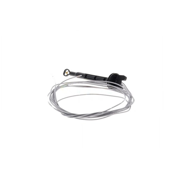 Sensor, innertemperatur