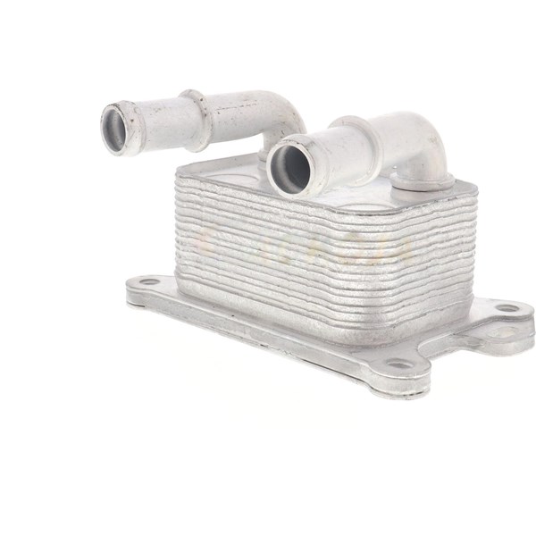 Oljekylare, motor