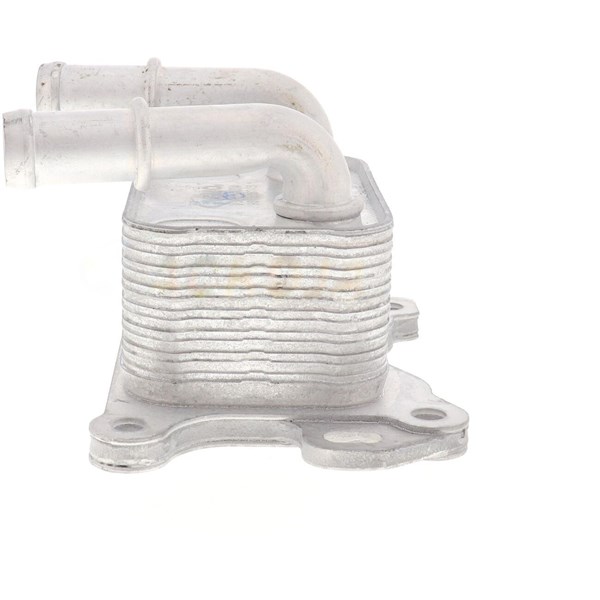 Oljekylare, motor