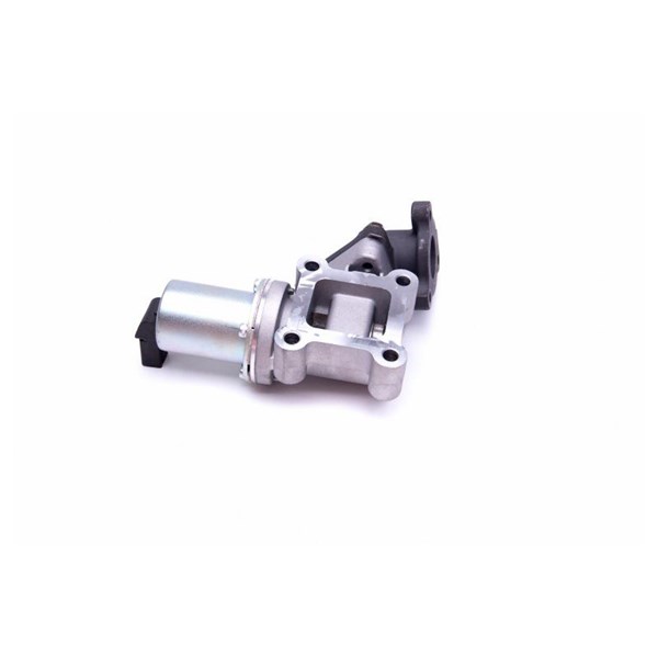 Egr-ventil Esen skv 14SKV214 ESEN SKV
