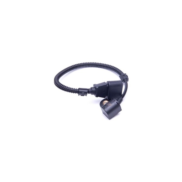 Sensor, kamaxelgivare Esen skv 17SKV484 ESEN SKV