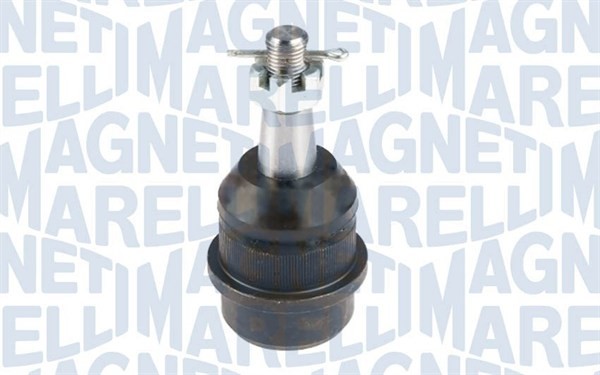Fästskruvar, länkarm Magneti marelli 301181312060 MAGNETI MARELLI