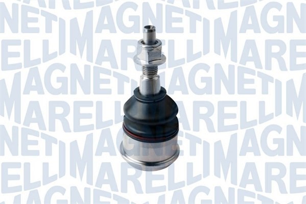 Fästskruvar, länkarm Magneti marelli 301191618620 MAGNETI MARELLI