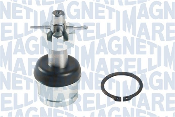 Fästskruvar, länkarm Magneti marelli 301191618630 MAGNETI MARELLI