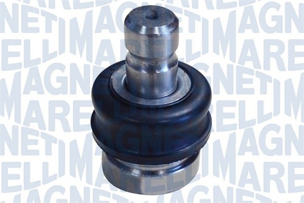Fästskruvar, länkarm Magneti marelli 301191618650 MAGNETI MARELLI