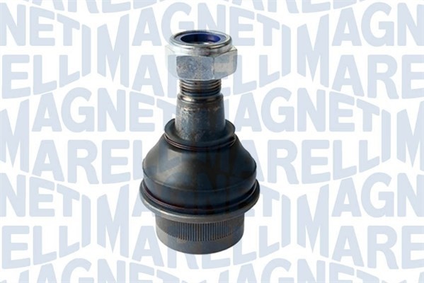 Fästskruvar, länkarm Magneti marelli 301191618860 MAGNETI MARELLI