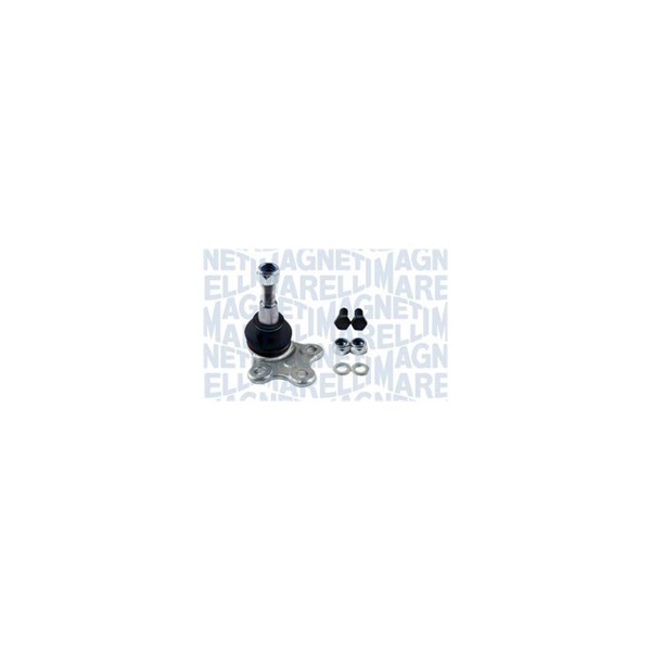 Fästskruvar, länkarm Magneti marelli 301191619580 MAGNETI MARELLI