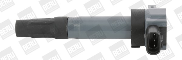Tändspole 12V Beru ZSE189 BERU