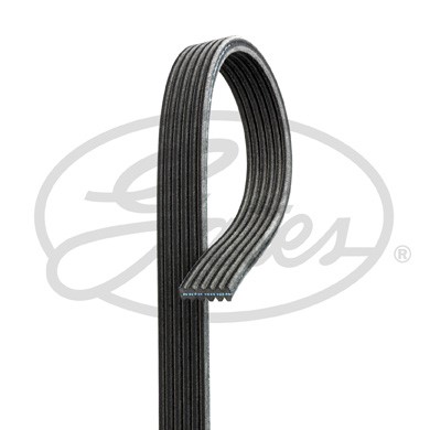 Drivrem Gates Micro-vâ® 6DPK1195 Gates